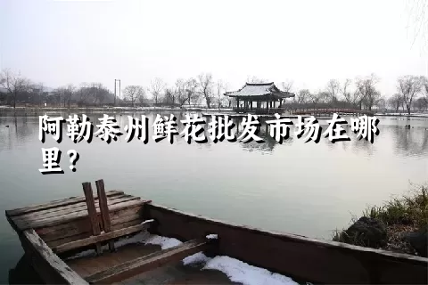 阿勒泰州鲜花批发市场在哪里？