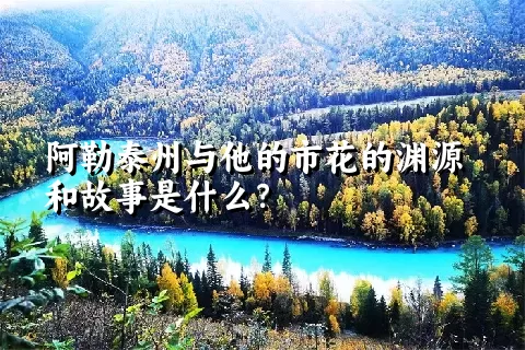 阿勒泰州与他的市花的渊源和故事是什么？