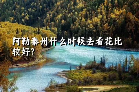 阿勒泰州什么时候去看花比较好？