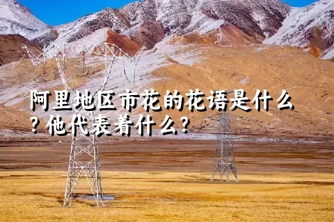 阿里地区市花的花语是什么？他代表着什么？