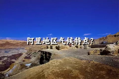 阿里地区气候特点？