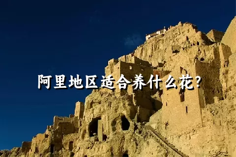 阿里地区适合养什么花？