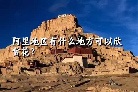 阿里地区有什么地方可以欣赏花？