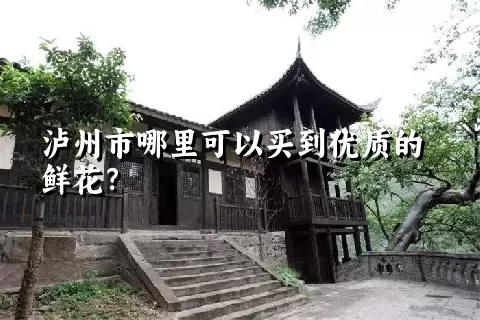 泸州市哪里可以买到优质的鲜花？