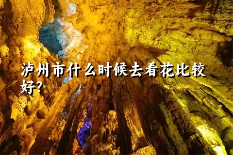 泸州市什么时候去看花比较好？