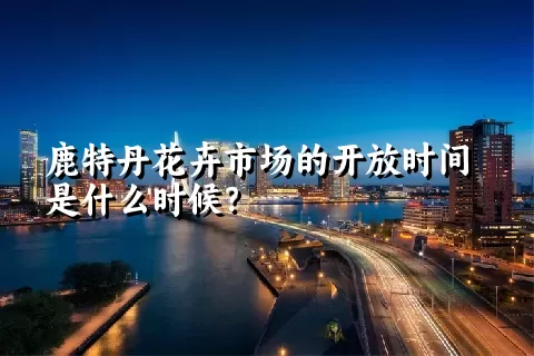 鹿特丹花卉市场的开放时间是什么时候？