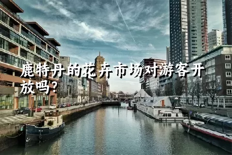 鹿特丹的花卉市场对游客开放吗？