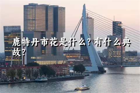 鹿特丹市花是什么？有什么典故？