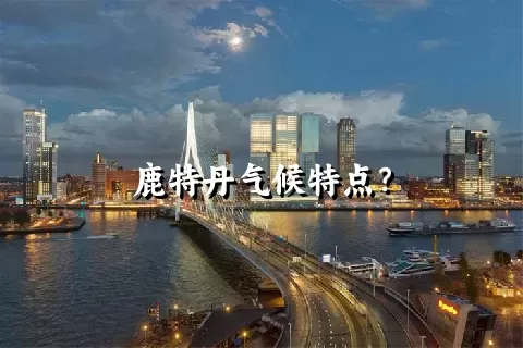 鹿特丹气候特点？