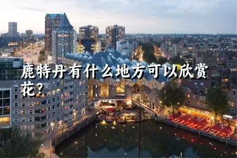 鹿特丹有什么地方可以欣赏花？