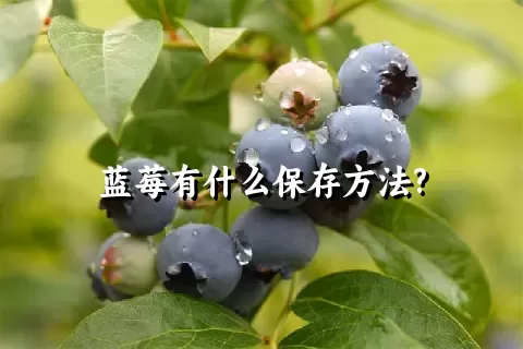 蓝莓有什么保存方法?