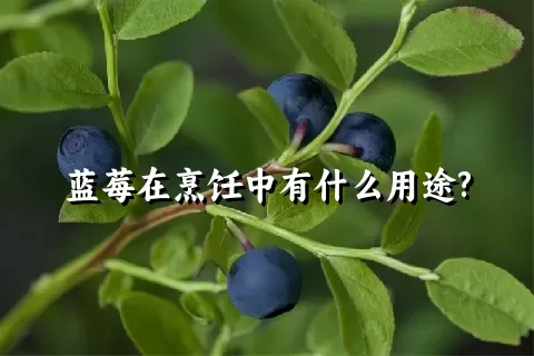 蓝莓在烹饪中有什么用途?