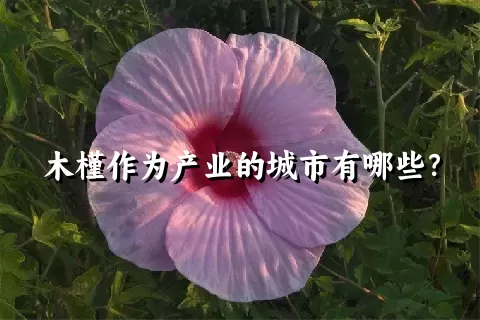 木槿作为产业的城市有哪些？