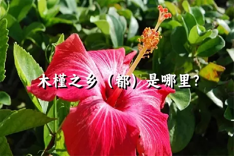 木槿之乡（都）是哪里？