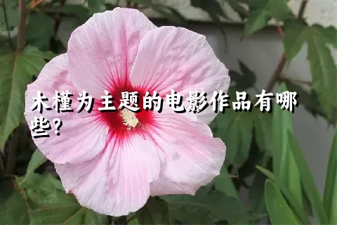 木槿为主题的电影作品有哪些？