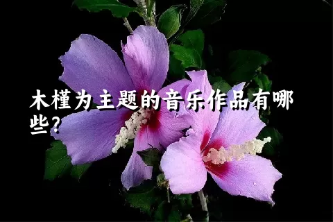 木槿为主题的音乐作品有哪些？