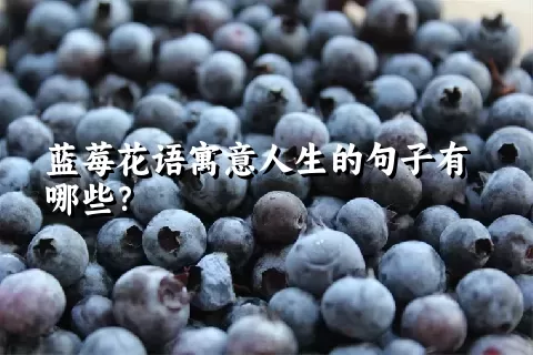 蓝莓花语寓意人生的句子有哪些？