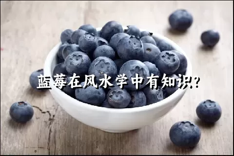 蓝莓在风水学中有知识？