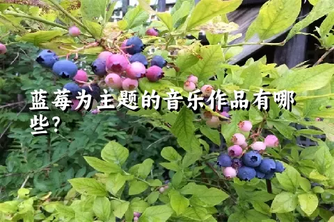 蓝莓为主题的音乐作品有哪些？