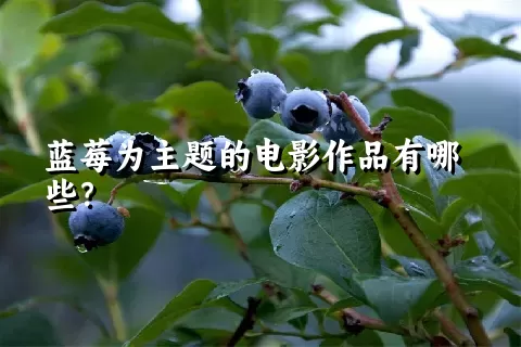 蓝莓为主题的电影作品有哪些？