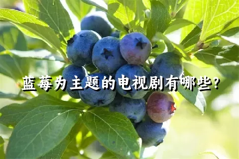 蓝莓为主题的电视剧有哪些？