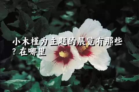 小木槿为主题的展览有那些？在哪里