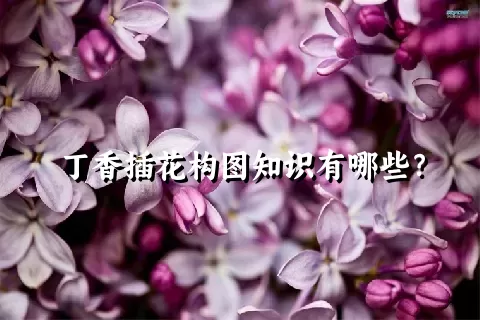 丁香插花构图知识有哪些？