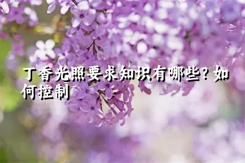 丁香光照要求知识有哪些？如何控制