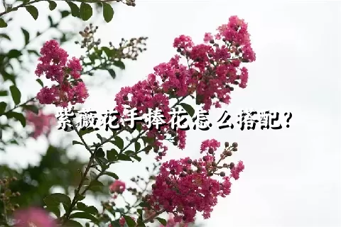 紫薇花手捧花怎么搭配？