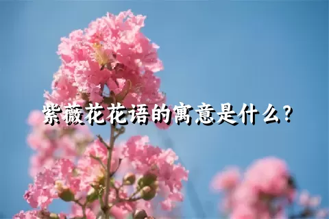 紫薇花花语的寓意是什么？