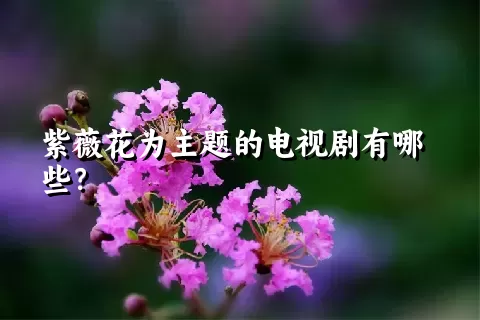 紫薇花为主题的电视剧有哪些？