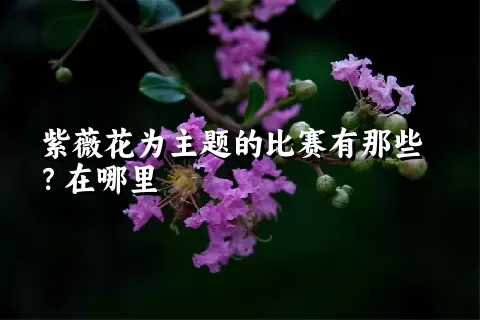 紫薇花为主题的比赛有那些？在哪里