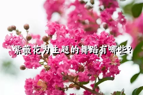 紫薇花为主题的舞蹈有哪些？