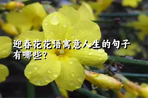 迎春花花语寓意人生的句子有哪些？