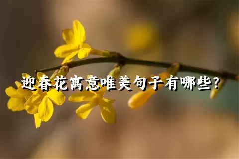 迎春花寓意唯美句子有哪些？