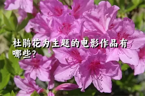 杜鹃花为主题的电影作品有哪些？