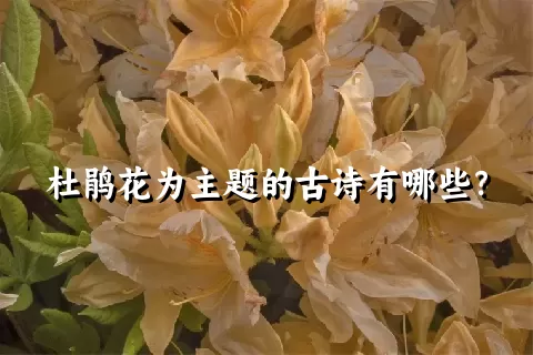 杜鹃花为主题的古诗有哪些？