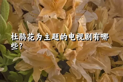 杜鹃花为主题的电视剧有哪些？