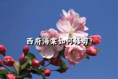 西府海棠如何修剪？