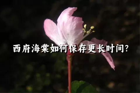 西府海棠如何保存更长时间？