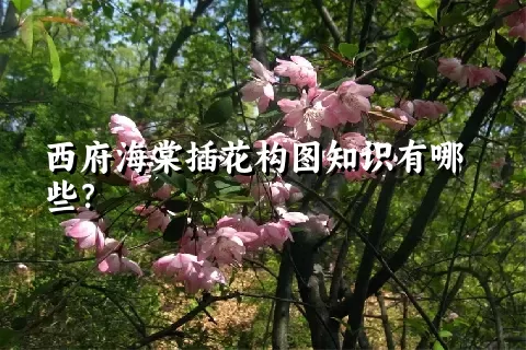 西府海棠插花构图知识有哪些？