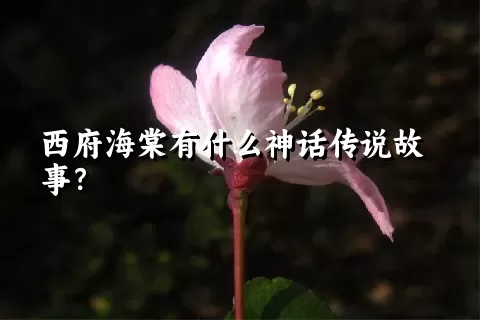 西府海棠有什么神话传说故事？