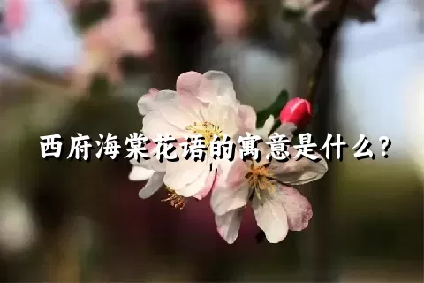 西府海棠花语的寓意是什么？