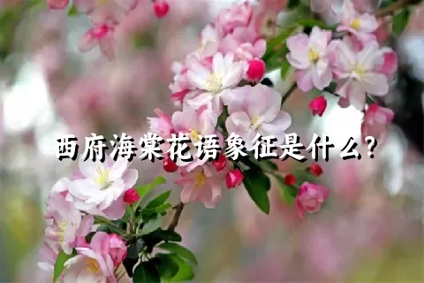 西府海棠花语象征是什么？