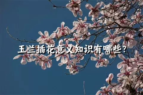 玉兰插花意义知识有哪些？