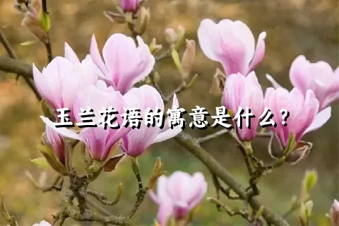 玉兰花语的寓意是什么？