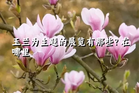 玉兰为主题的展览有那些？在哪里