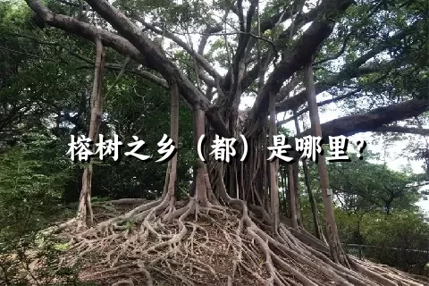 榕树之乡（都）是哪里？