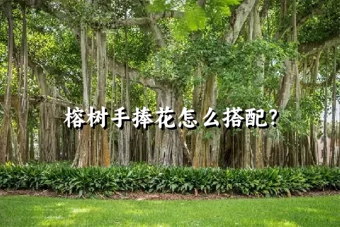 榕树手捧花怎么搭配？