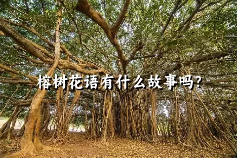 榕树花语有什么故事吗？